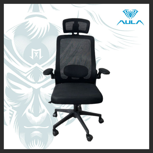 AULA F526 Ergonomic Mesh Office Chair with Adjustable Support