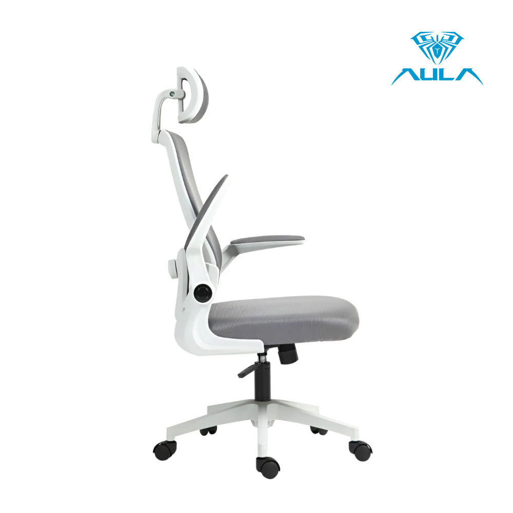 AULA F526 Ergonomic Mesh Office Chair with Adjustable Support