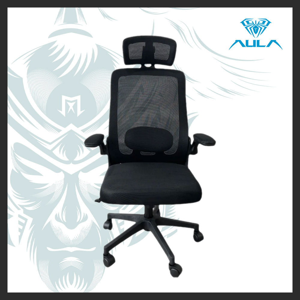 AULA F526 Ergonomic Mesh Office Chair with Adjustable Support