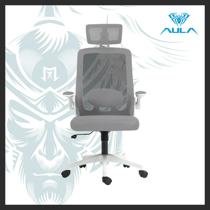 AULA F526 Ergonomic Mesh Office Chair with Adjustable Support