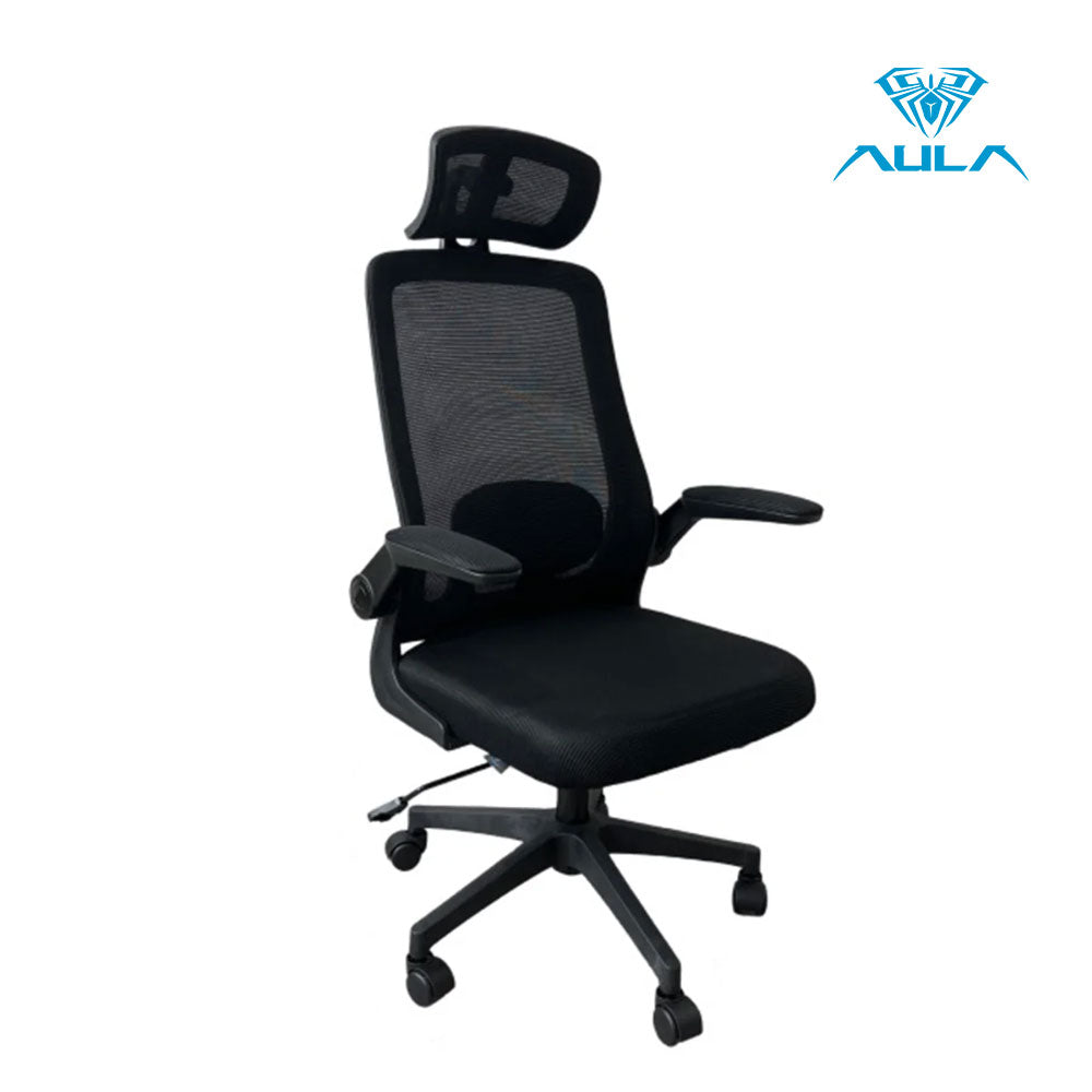 AULA F526 Ergonomic Mesh Office Chair with Adjustable Support