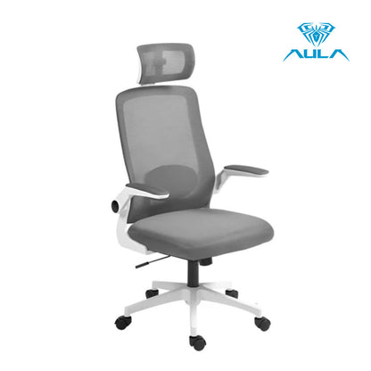 AULA F526 Ergonomic Mesh Office Chair with Adjustable Support