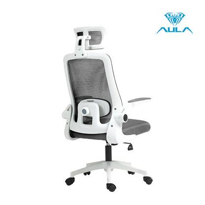 AULA F526 Ergonomic Mesh Office Chair with Adjustable Support