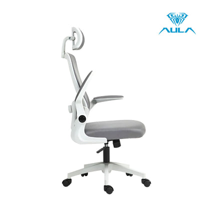 AULA F526 Ergonomic Mesh Office Chair with Adjustable Support